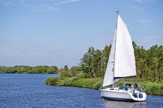 Zeilboot vaart langs een bos