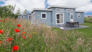 Lichtblauw vakantiehuis met terras en wilde bloemen op de voorgrond